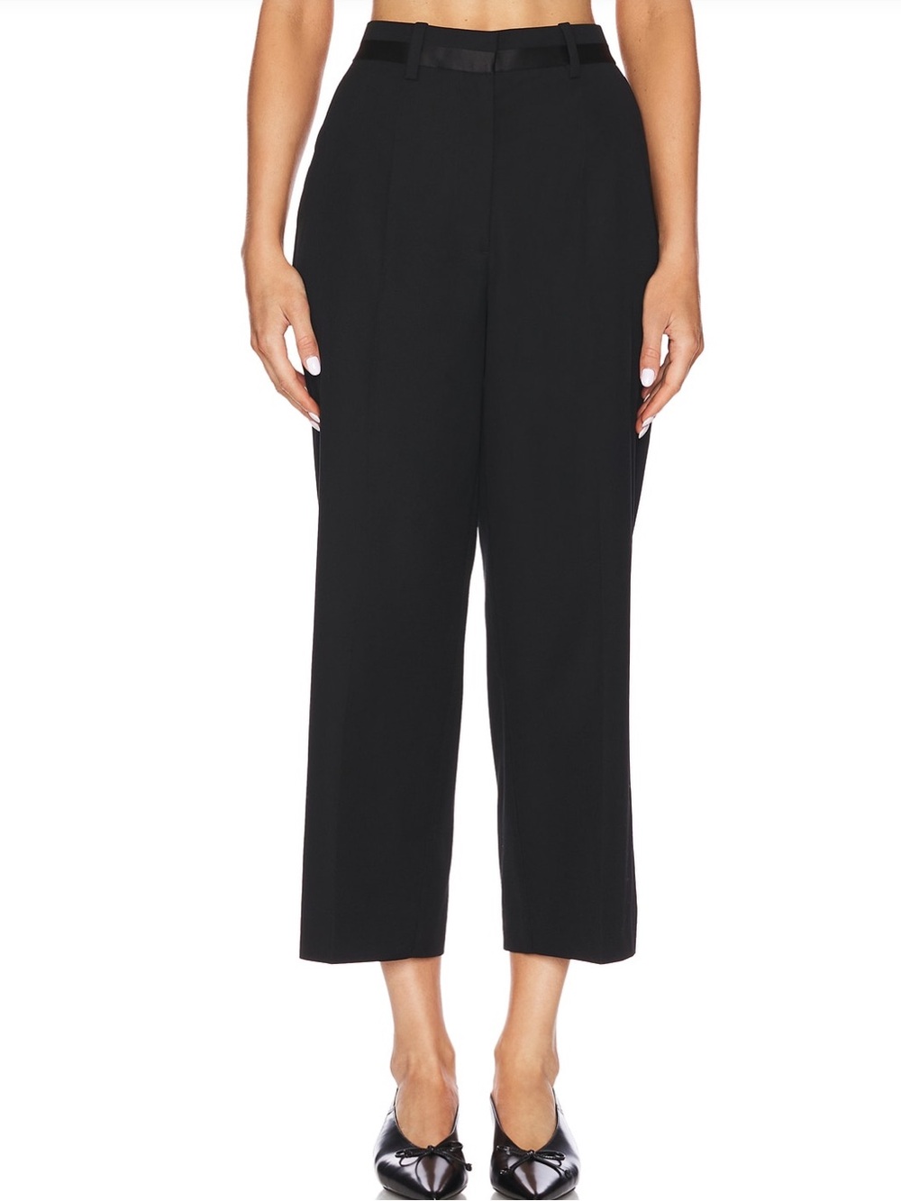 Anine Bing Louisa Tailored Trouser in Black